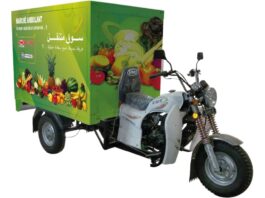 VMS VM12 tricycle - fruits et légumes