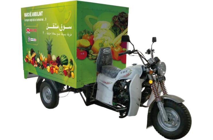 VMS VM12 tricycle - fruits et légumes