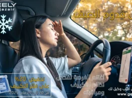 Geely Algérie - Offre SAV